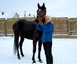 нажмите, чтобы увеличить фото