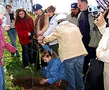 нажмите, чтобы увеличить фото